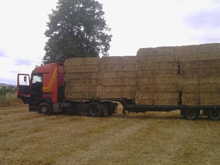 11252719_720285934744061_2545137932799893889_n.j