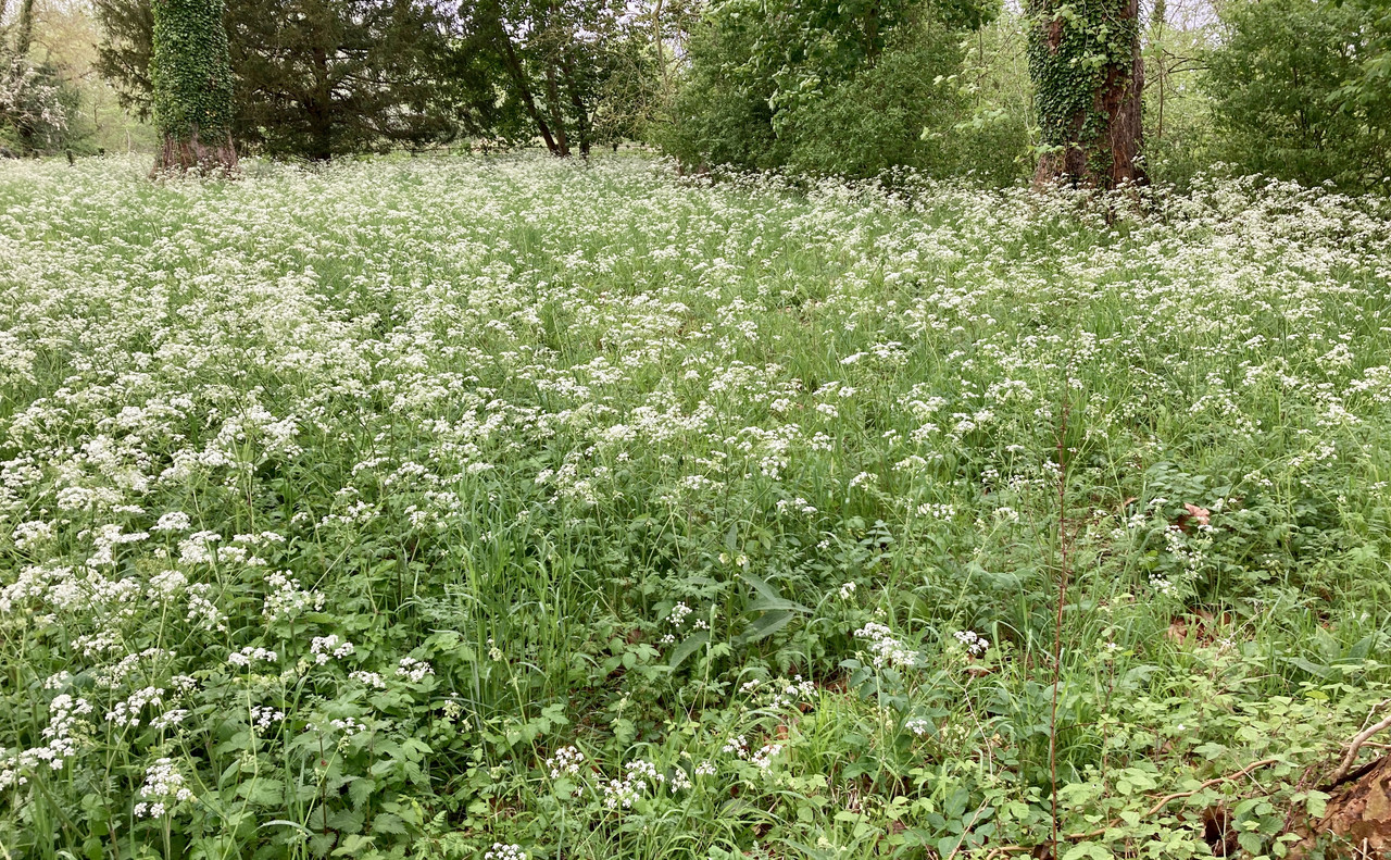 1D3E585F-34B6-47C1-90FC-017AA4B89524