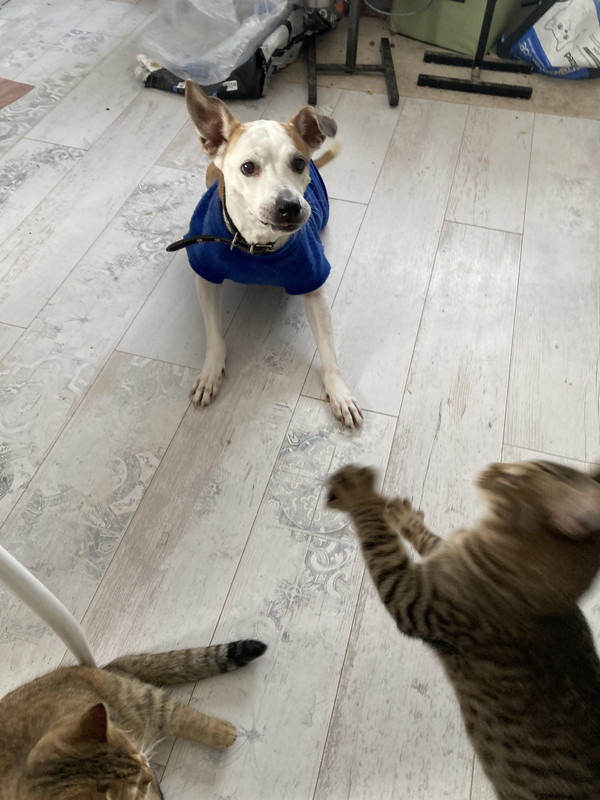 7FDE8917-1104-4D51-9436-F431D8802C6A