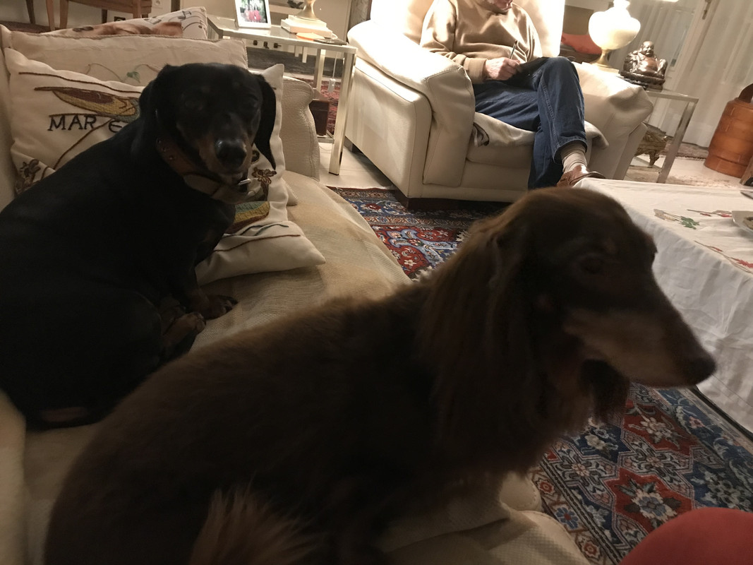 [Image: 9-D79-A4-DC-5-D14-4567-9-A29-6-F95-E0-E62978.jpg]