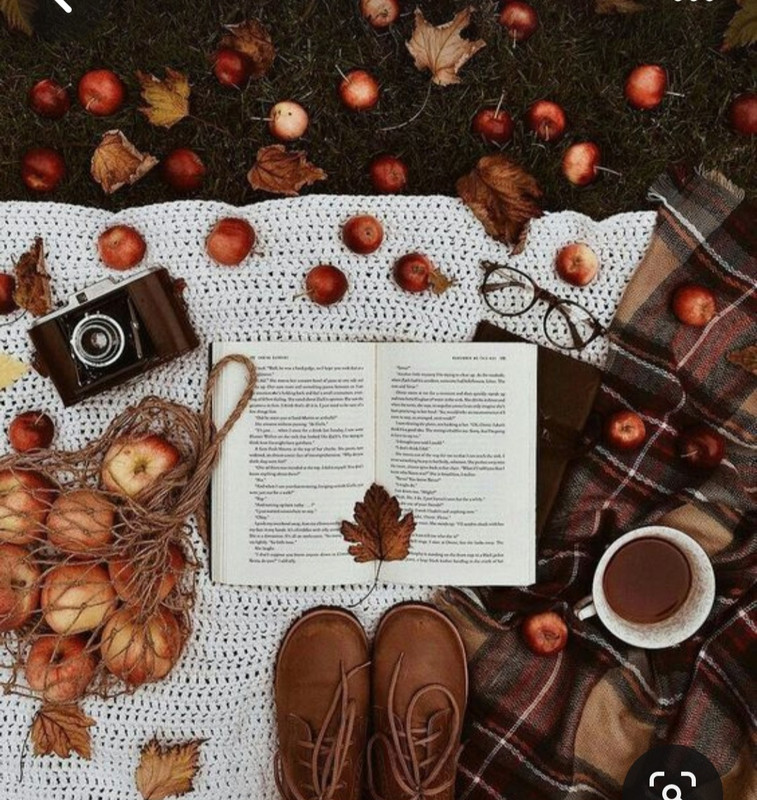 Screenshot_20230909_011104_Pinterest