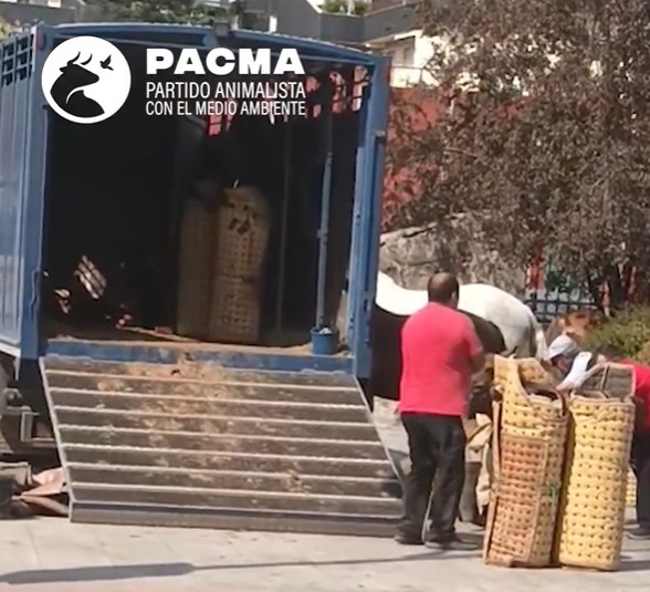 Foto cedida por PACMA