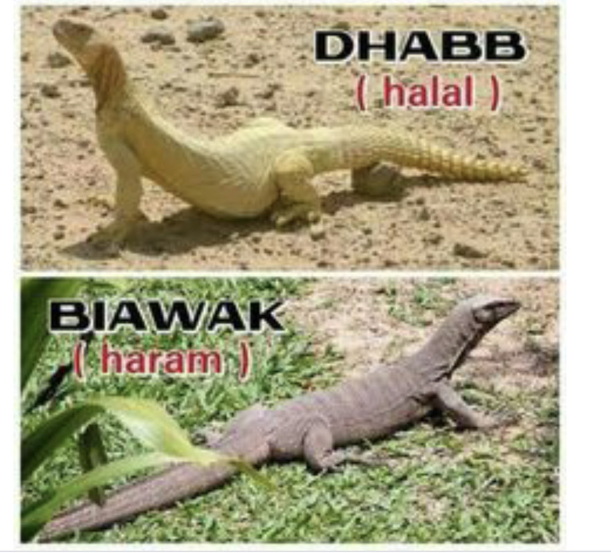 ACEC7B21-C99D-4D42-BFB2-1309E5EE7ED1