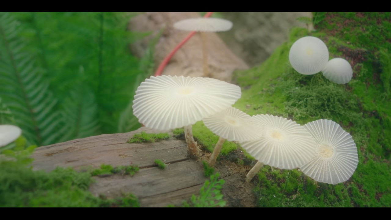 VS Netflix Sold Outon You E2Episode2 8 50