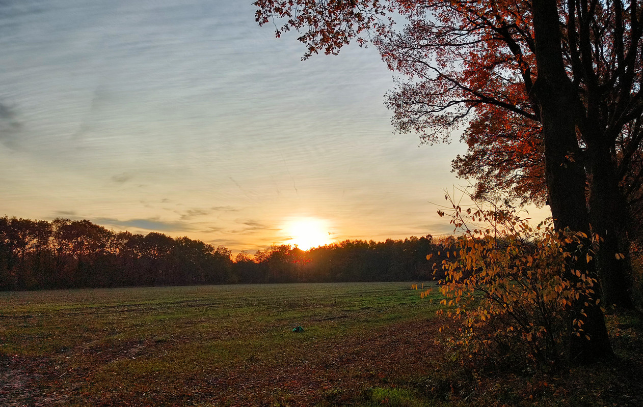 Lumii 20251106 081033570