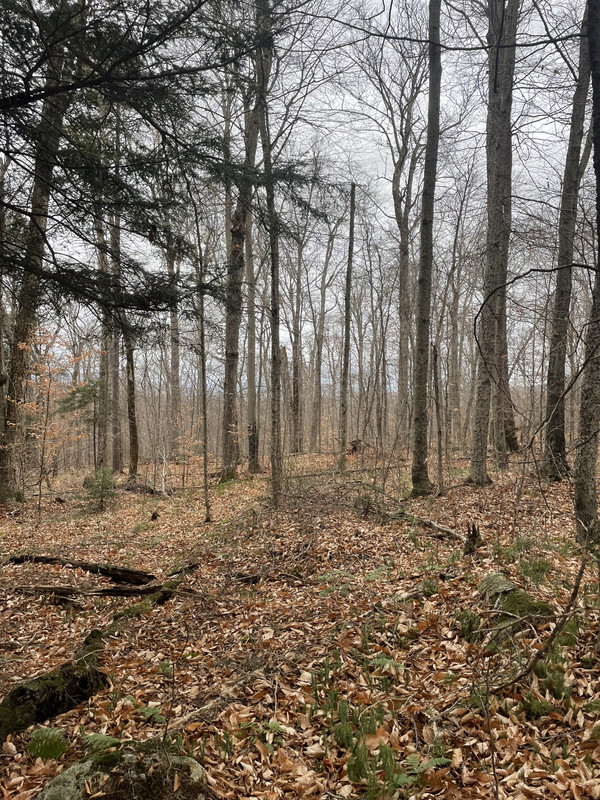 20705FFB-CC64-4C8C-9168-44D0C84305CE