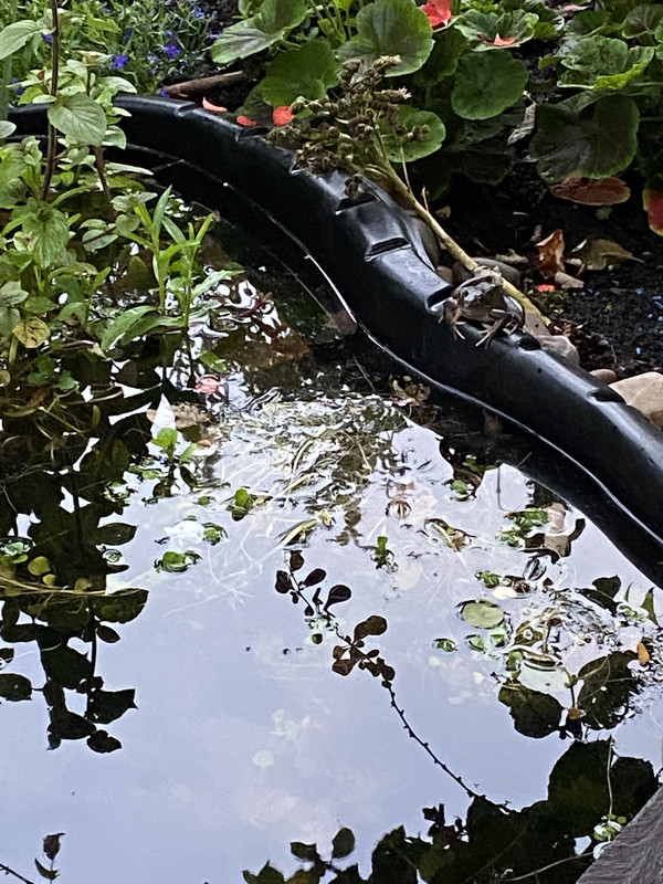 B1BE1B7B-C80C-4468-AE2A-6C013C57E1BF