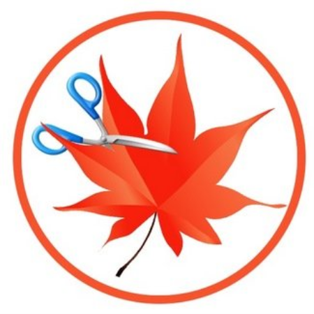 Easy Cut Studio 5.016 Multilingual