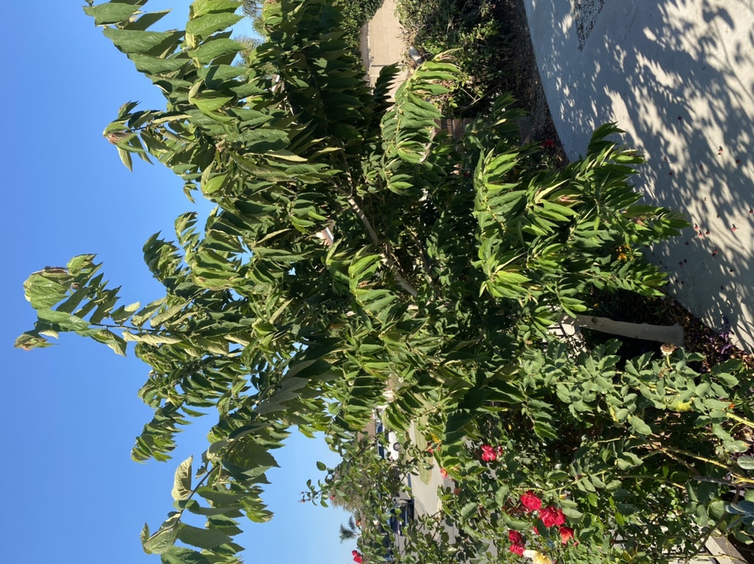 0DE231D7-9CD5-406D-8288-7EEF65FD5289