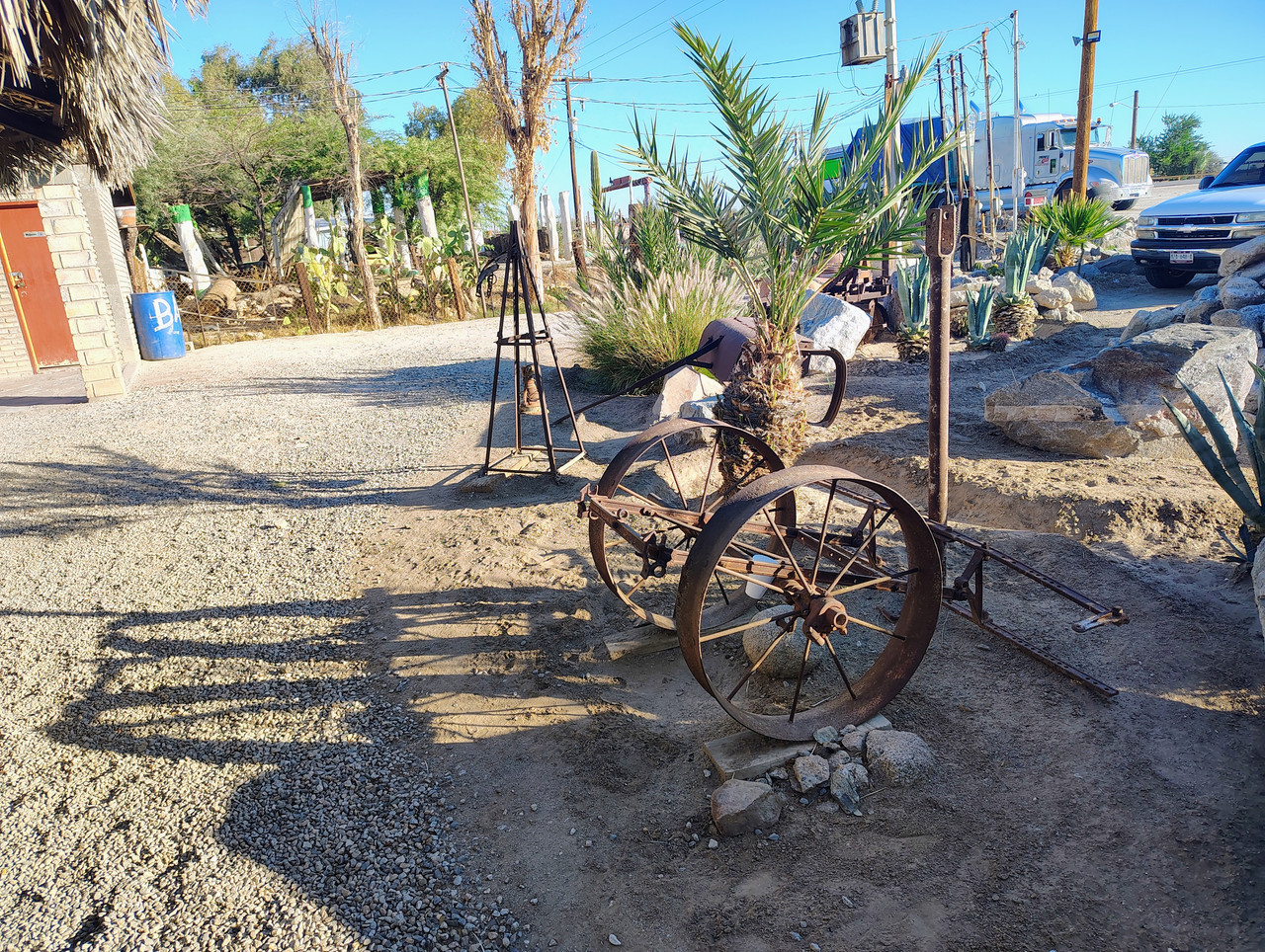 IMG 20251108 074550474 HDR AE