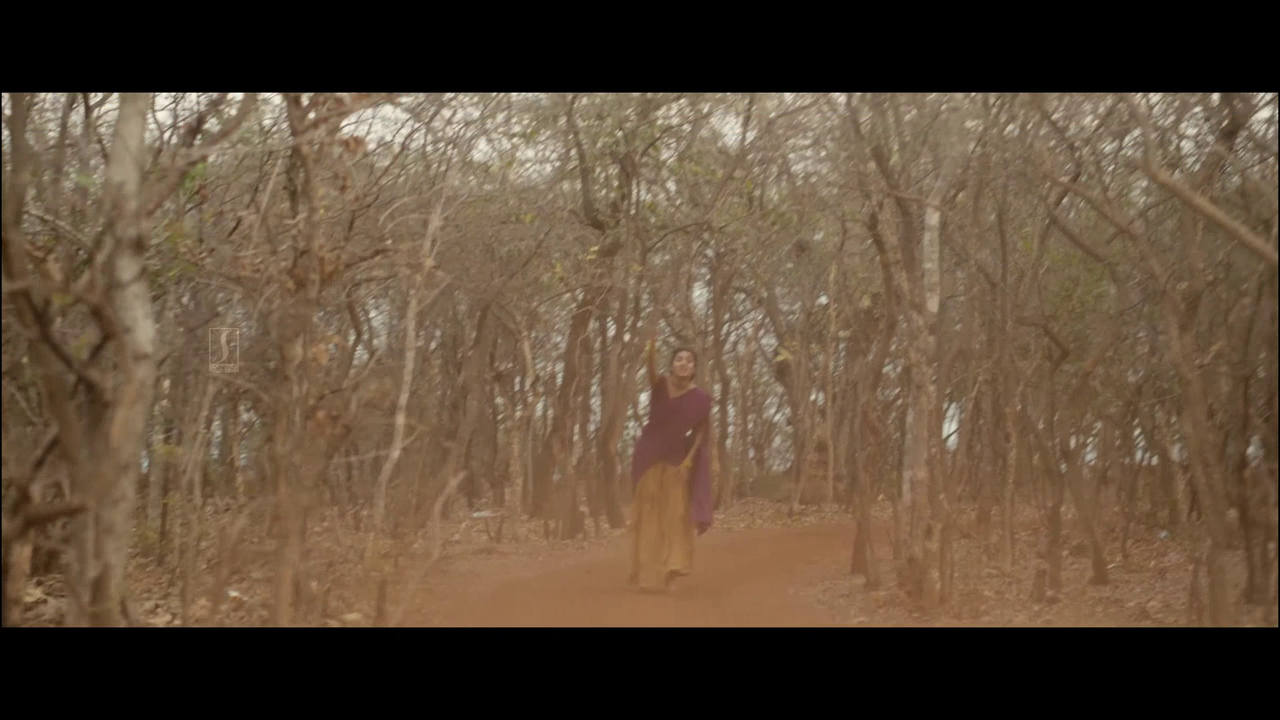 vlcsnap 2025 11 02 14h00m39s550