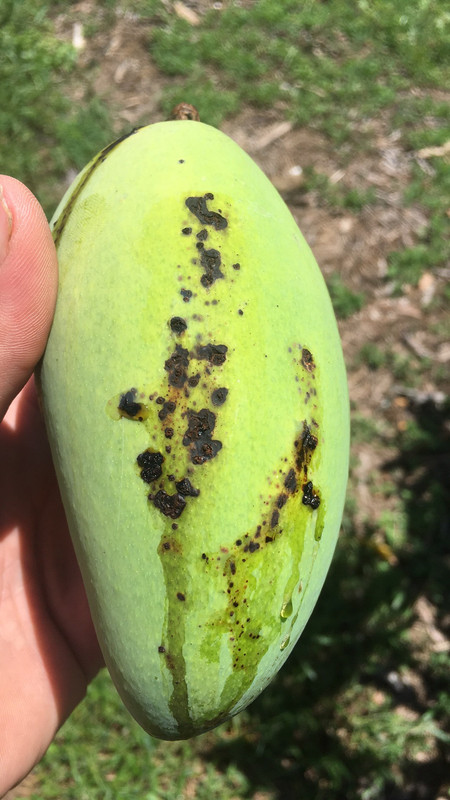 5F206B1A-4E82-41E5-B0B6-531BC75EA804