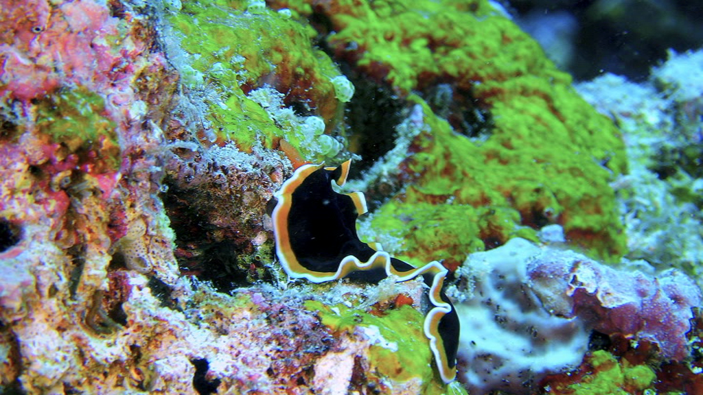 vlcsnap-2018-09-30-01h38m06s213