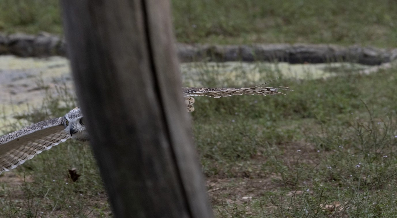 YLQ9BKzOTWOpx-yCZsRgMA