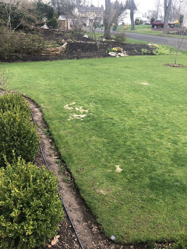 4AF619C9-4BD6-490C-8324-20A84B32ED95