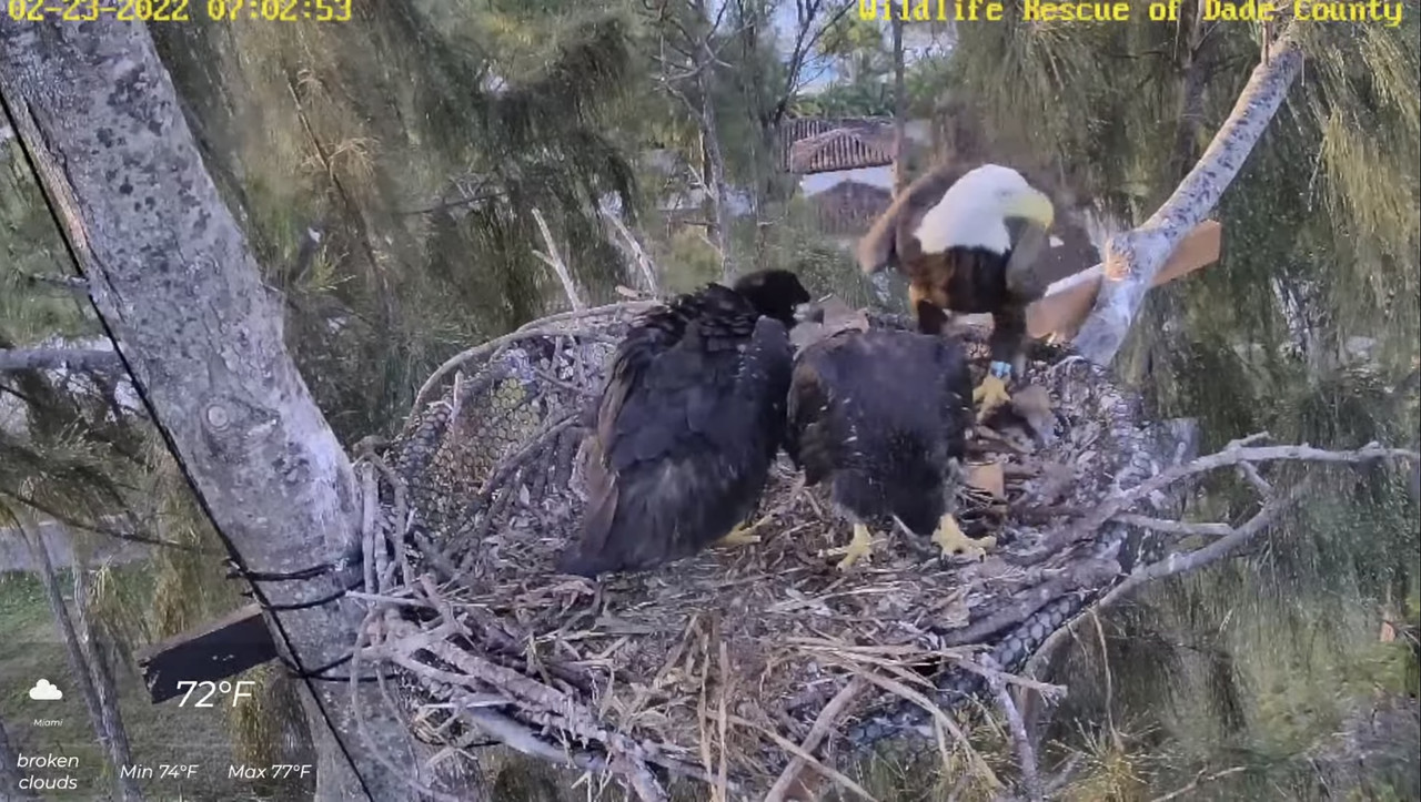 6D878A26-E5A7-420E-A40A-E2B5EEDAF554