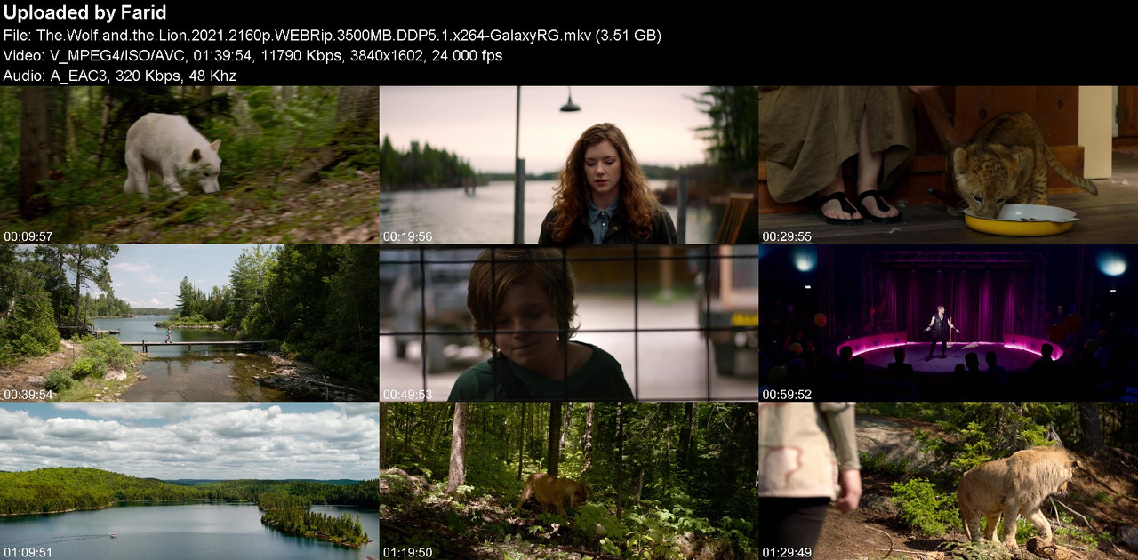 The-Wolf-and-the-Lion-2021-2160p-WEBRip-3500-MB-DDP5-1-x264-Galaxy-RGTGx.jpg