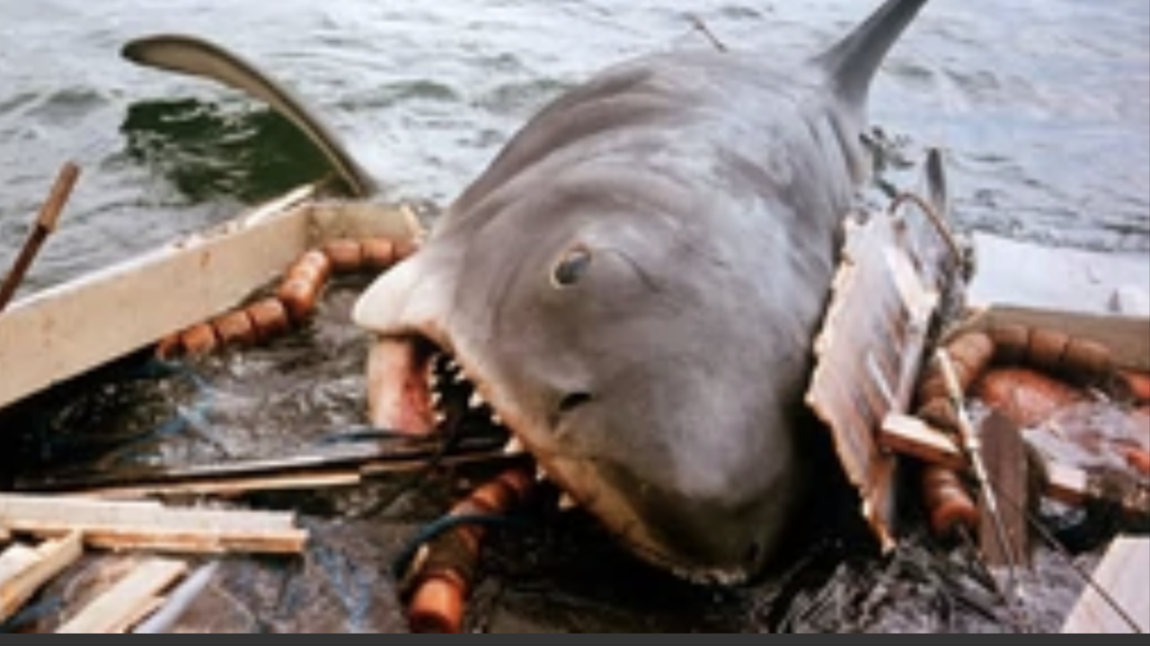 455EF495-F086-47E3-A3A8-ADE2EC10EEE9