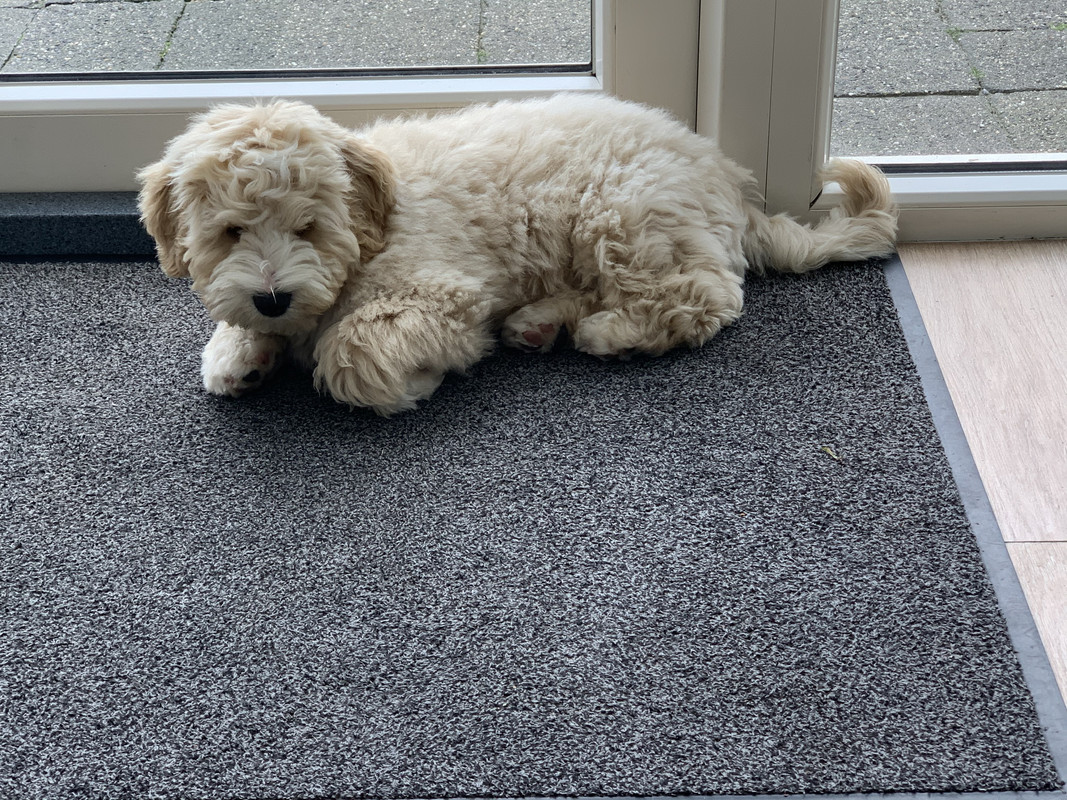 94A56F82-10FD-47B3-8750-1CDCBEE0BF09