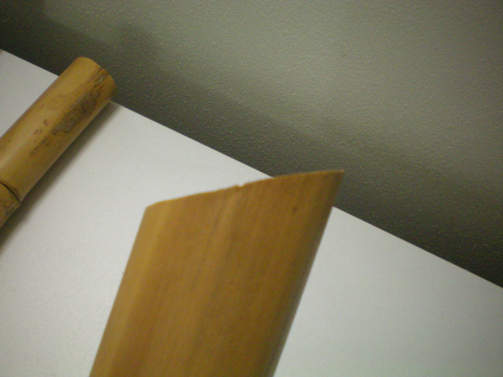 100_0239 (FILEminimizer)