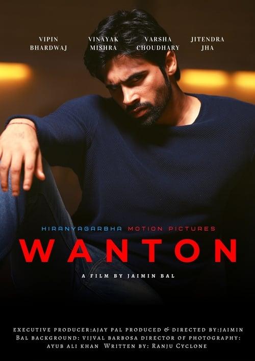 Wanton (2020) Hindi 720p HDRip x264 AAC