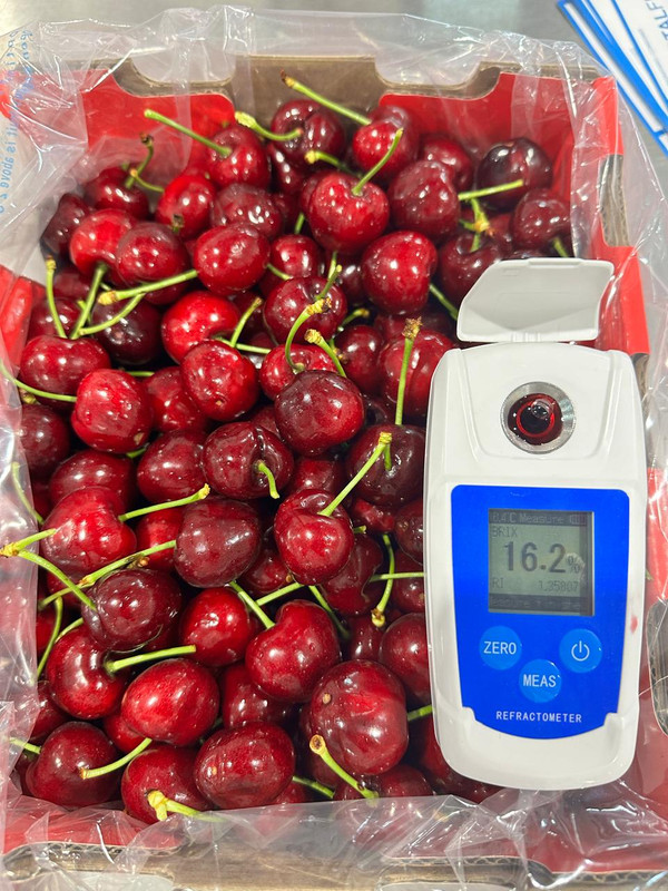 Control de calidad de fruta