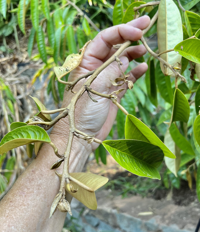 EBA7AD2A-0379-42EB-95A6-99AFCC31450E