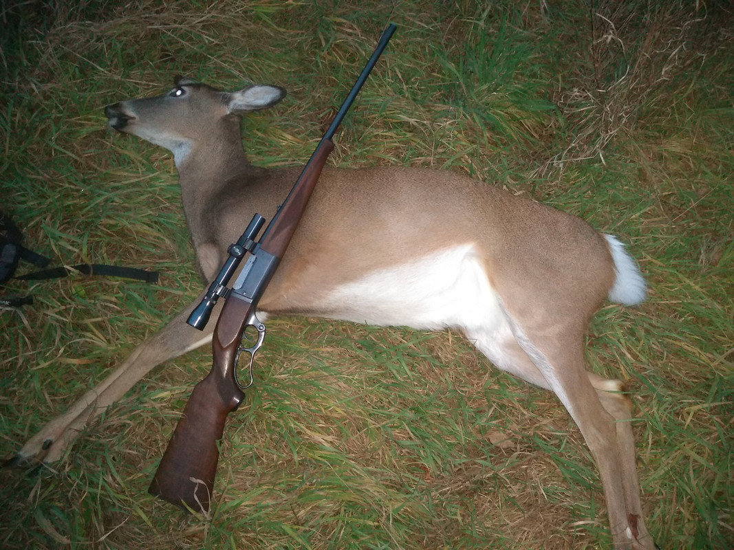 IMG_20201125_170550027 (1)