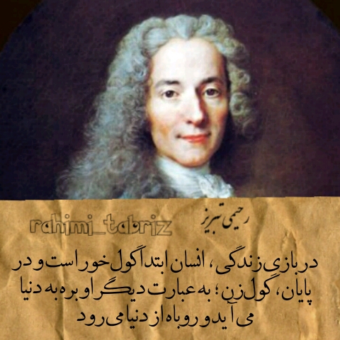 جملات ناب ولتر