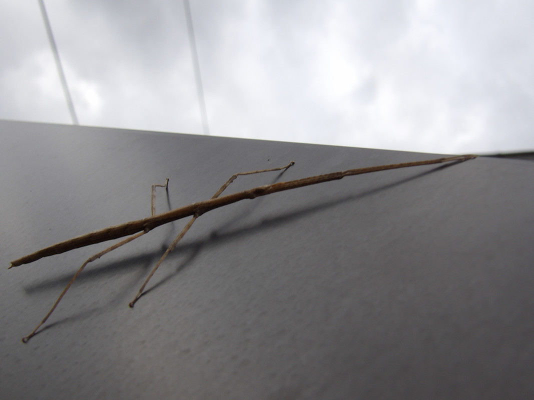 [Image: 125-0024.jpg]