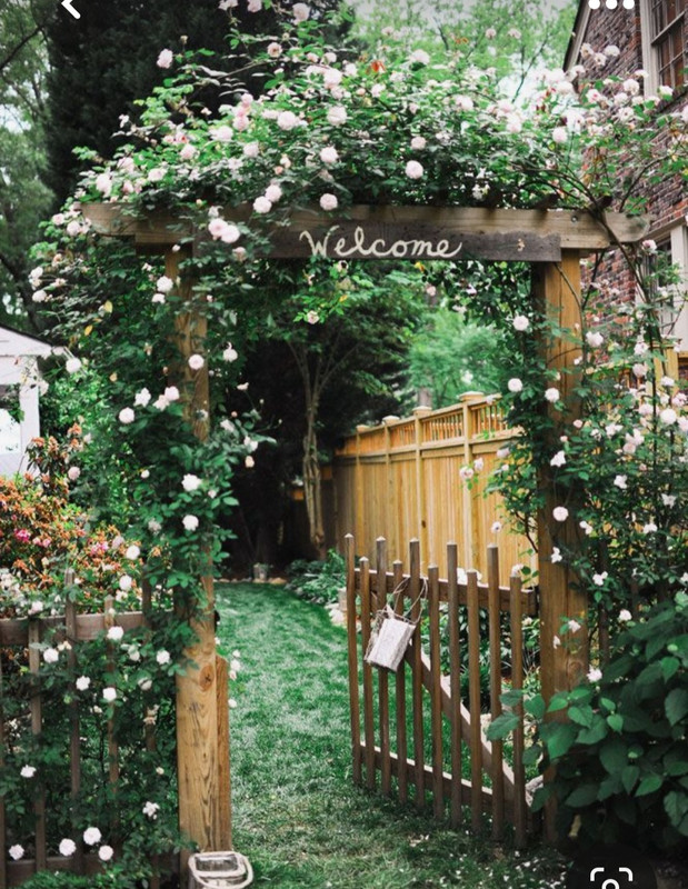 Screenshot_20230616_125840_Pinterest