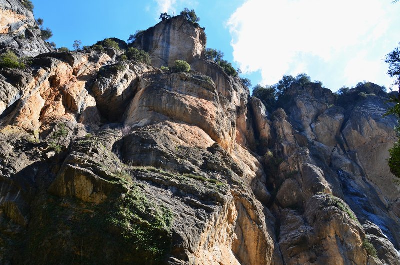 RUTA RIO BOROSA-12-3-2016-JAEN - Paseando por España-1991/2016 (102)