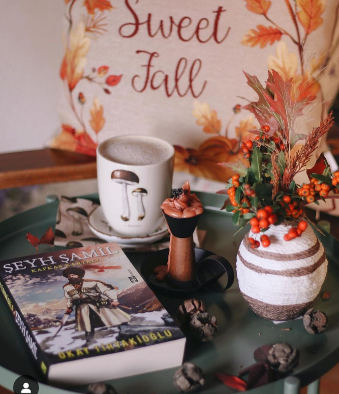 Screenshot_20231203_232155_Instagram