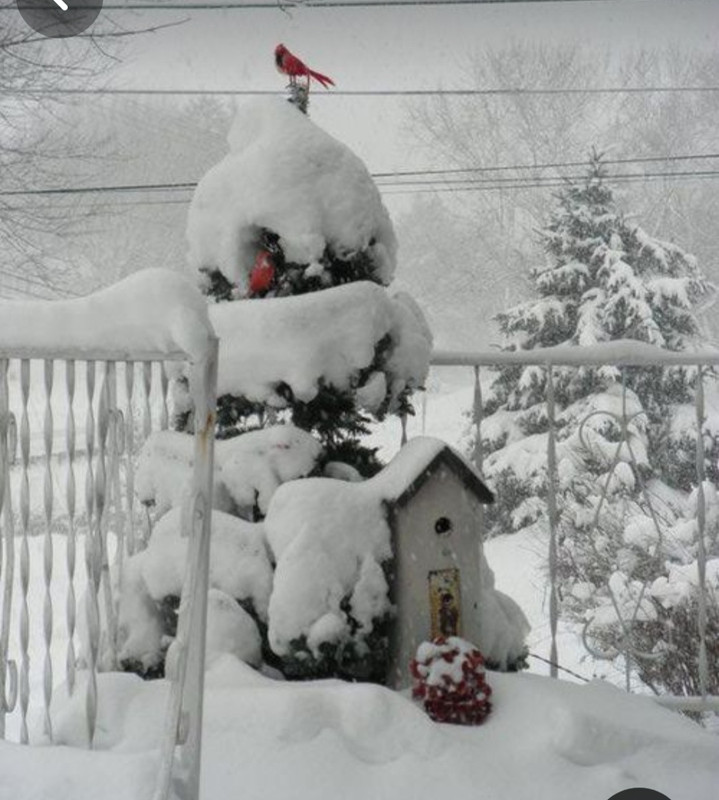 Screenshot_20231124_220458_Pinterest