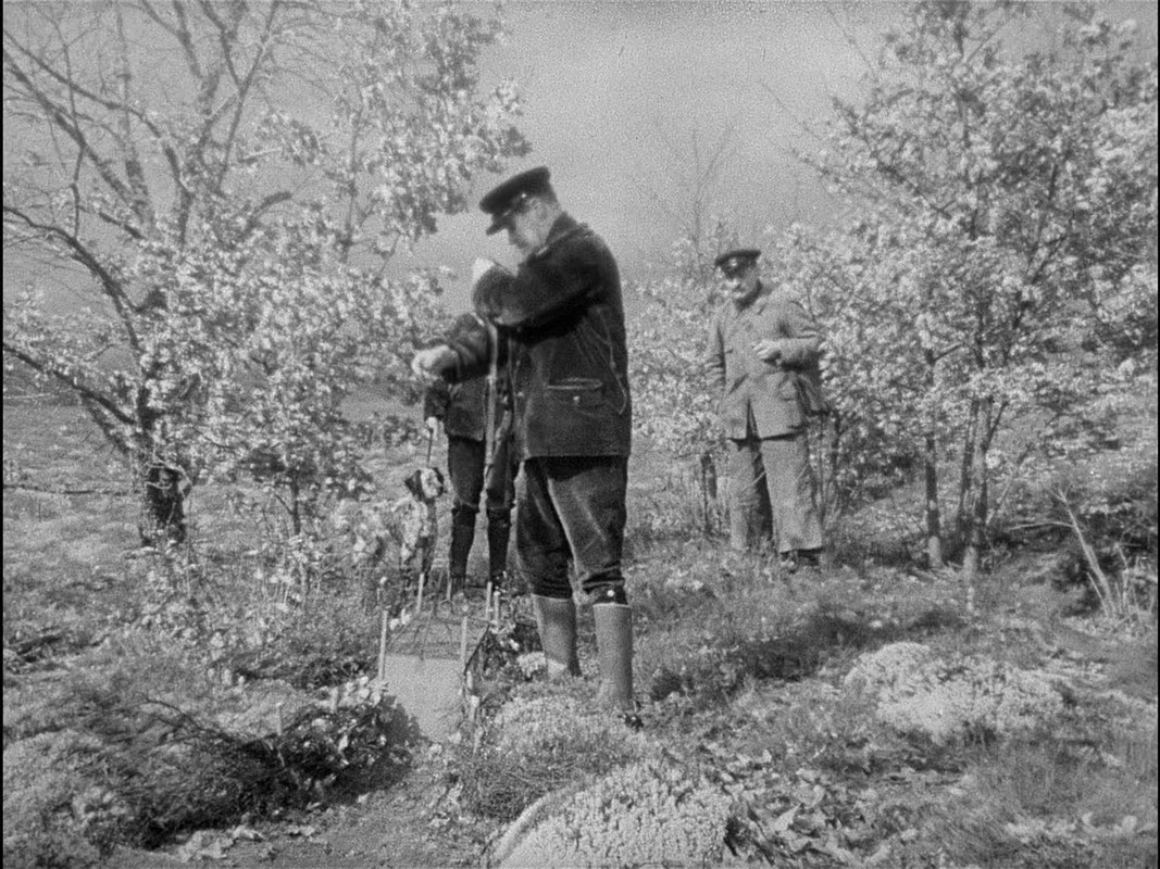 The Rules of the Game (1939) Criterion (1080p BluRay x265 r00t)-