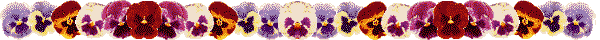 rainbow flowers rainbow flowers