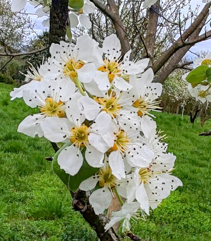 IMG 20260413 191552bbb