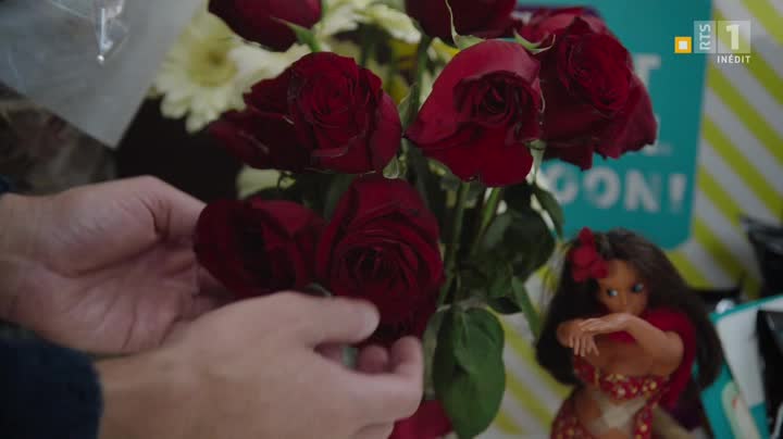 Harrow S02E01 FRENCH HDTV XviD EXTREME KxmiDRM