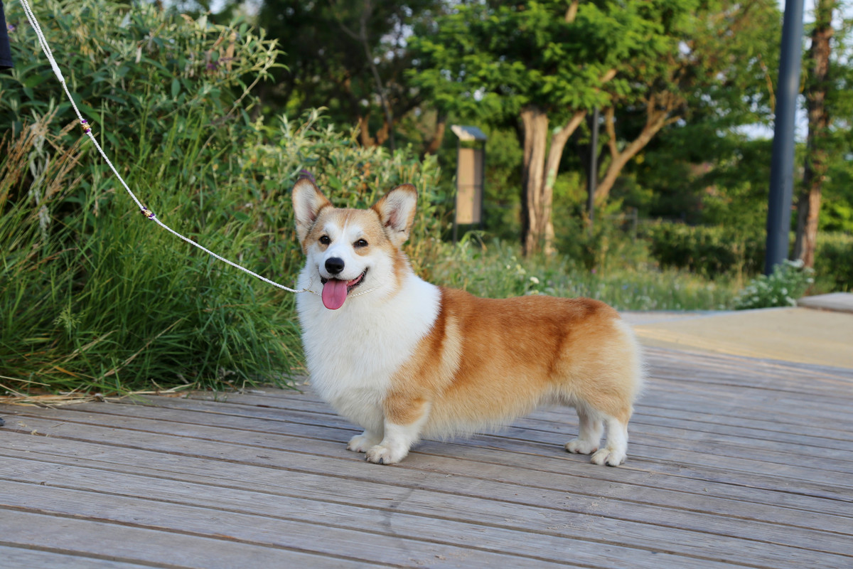 IMG_6346 3.07.21 ВАУ