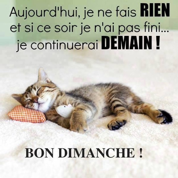 https://i.postimg.cc/j2t3j0Fm/Bon-dimanche-22.jpg