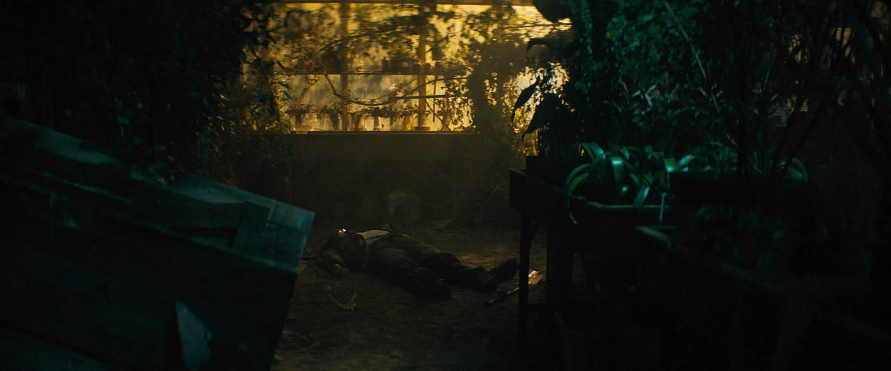 Don't Breathe 2 2021 BluRay [Hindi + Tamil + Telugu + English] 480p, 720p, 1080p ESub Screenshot