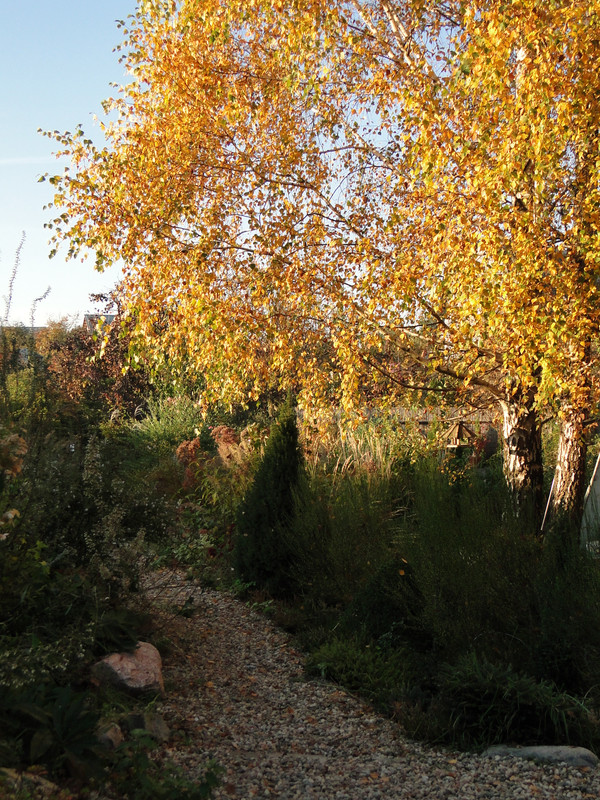 DSC00361
