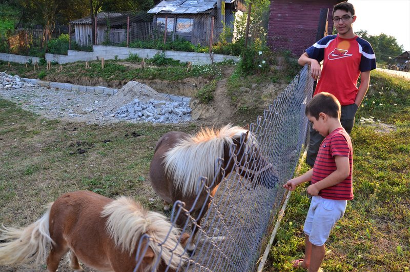 Distrito de Arges-7-8-2015 - Rumanía y sus pueblos-2015 (11)