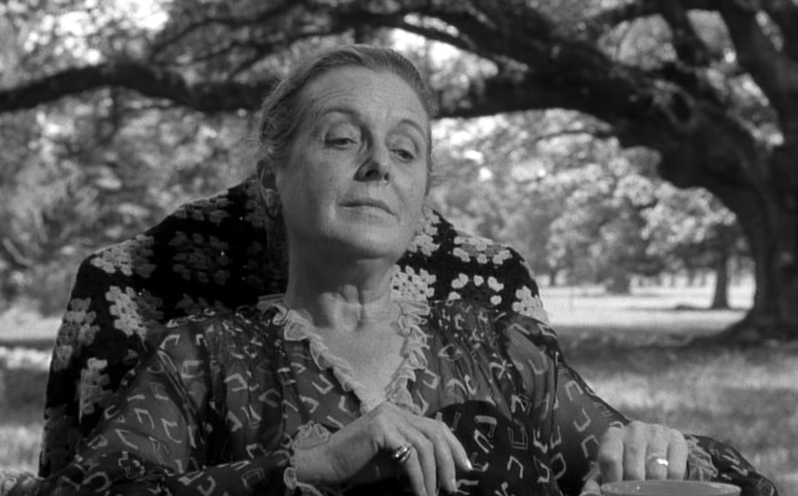 vlcsnap-2015-08-02-20h38m45s19