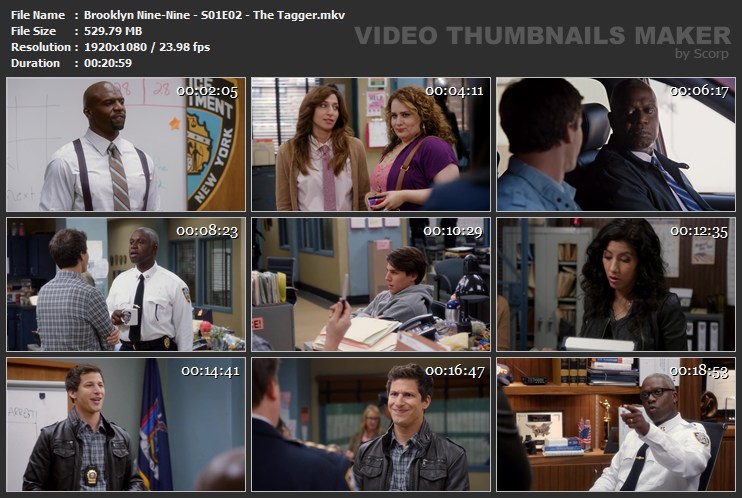 Brooklyn Nine-Nine - S01E02 - The Tagger.mkv