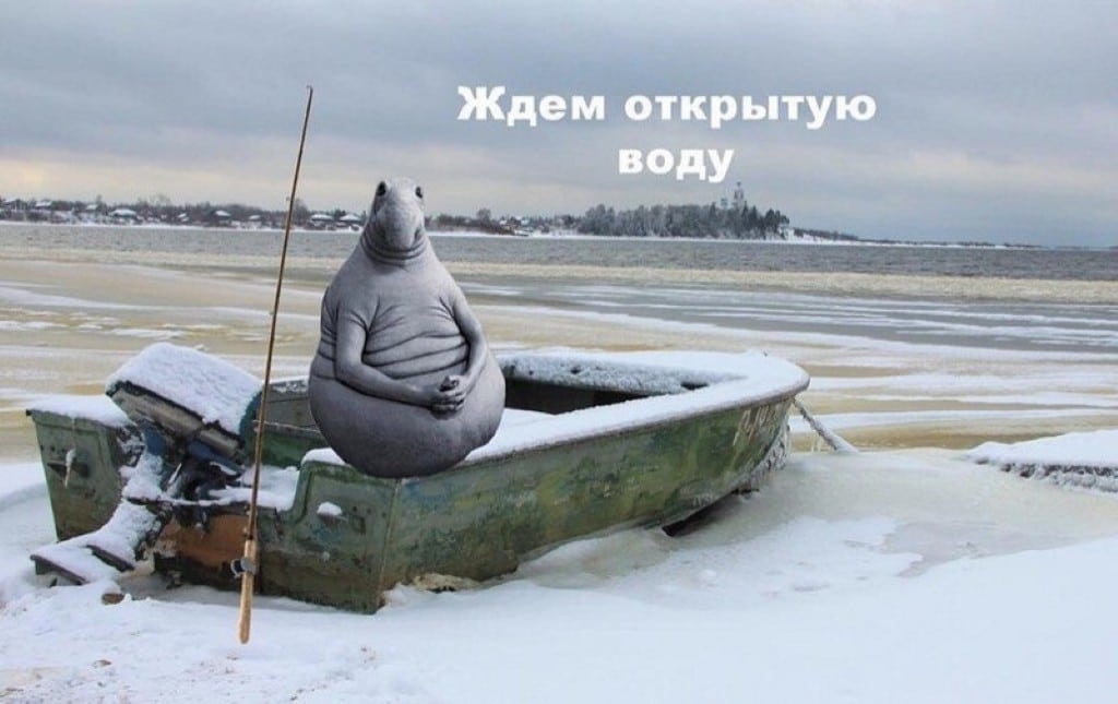 IMG_20170220_004800_0