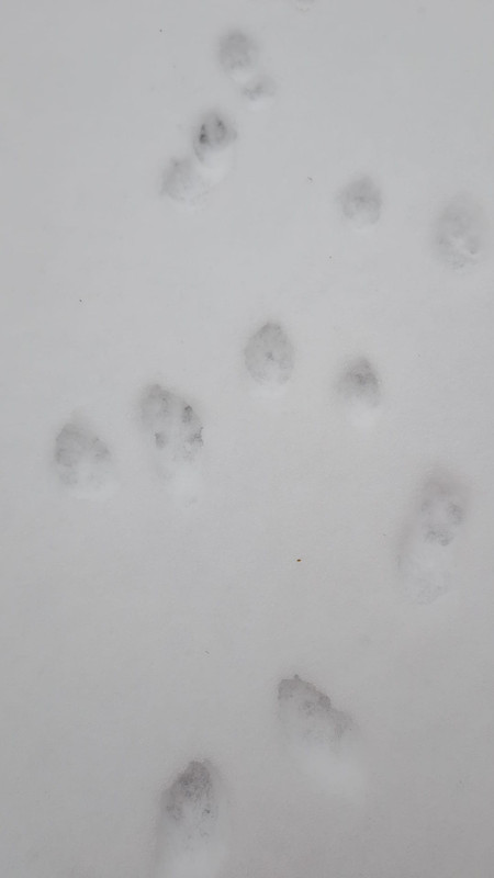 Whats App Image 2026 01 08 at 10 54 53