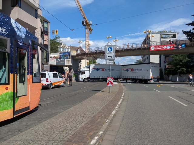 PXL-20250704-092351499.jpg