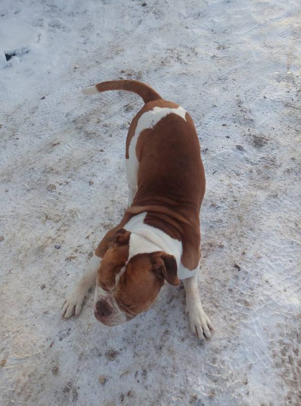 B9253C9B-D30A-4BF5-957B-2DC83CE8108B