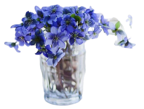 oie-e-Om-Y8-Og1-Drbx